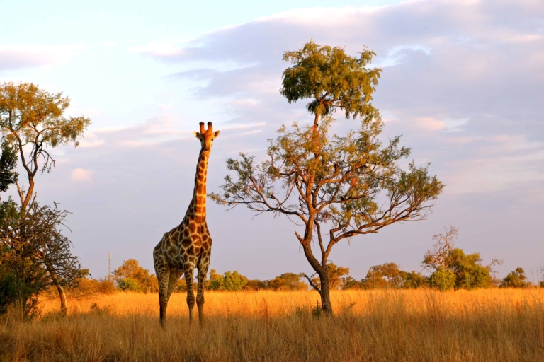 Why You Need to Visit South Africa!