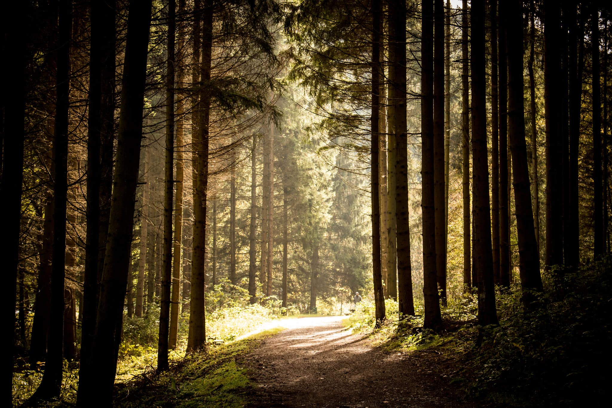 Germany hiking, hiking trails europe