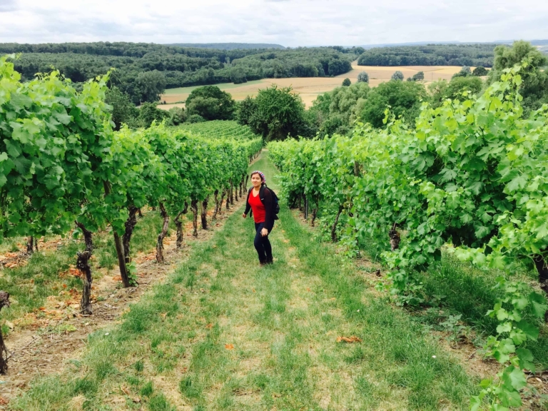 #NotJustBeer – Why I’m Going Back to Germany! 