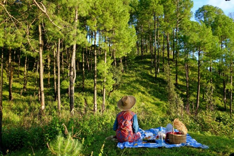 Awe-Inspiring Uttarakhand Homestays: Tune Out of Life and Tune Into the Mountains.