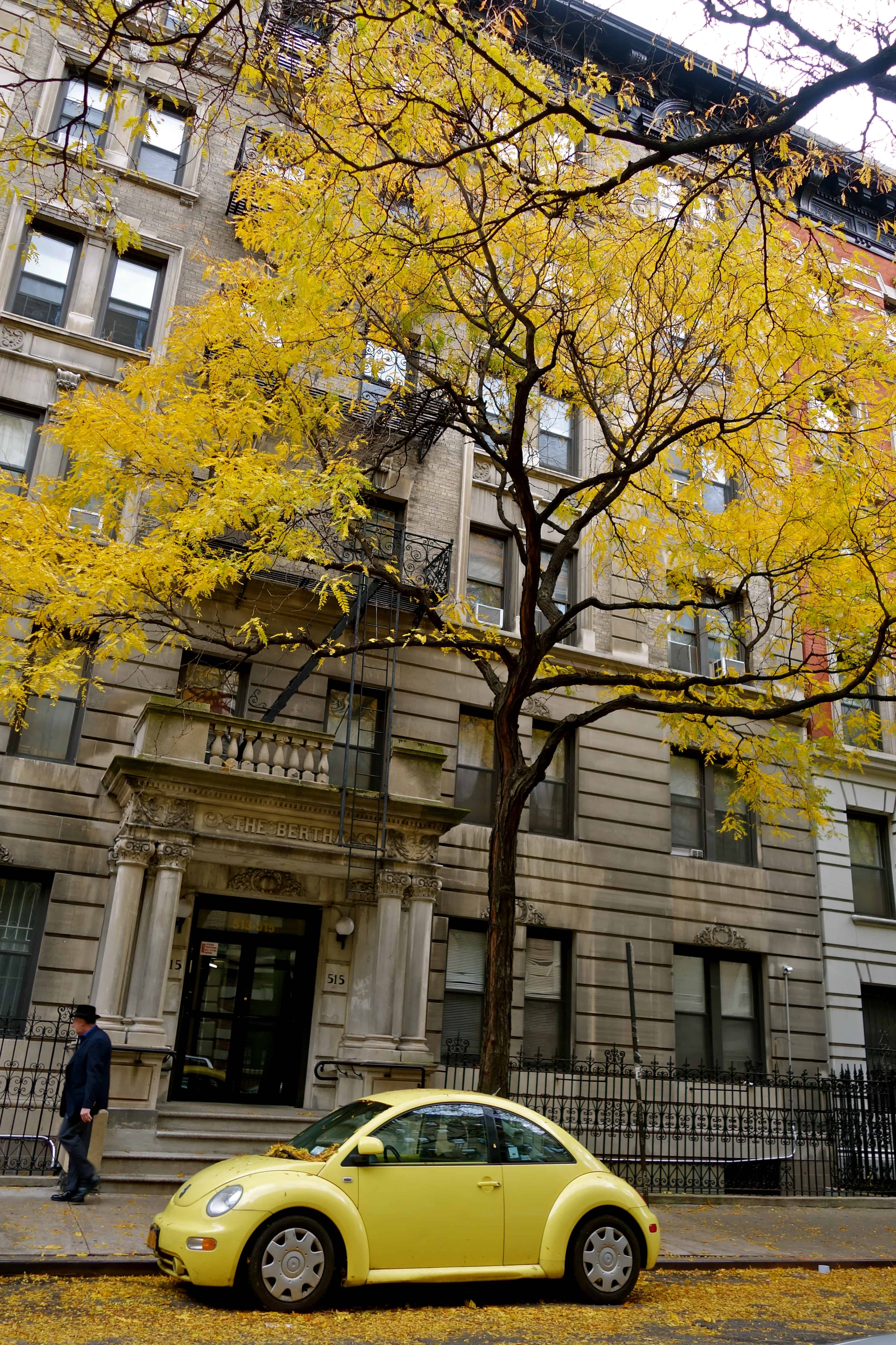 fall colors nyc, fall photos, what are fall colors