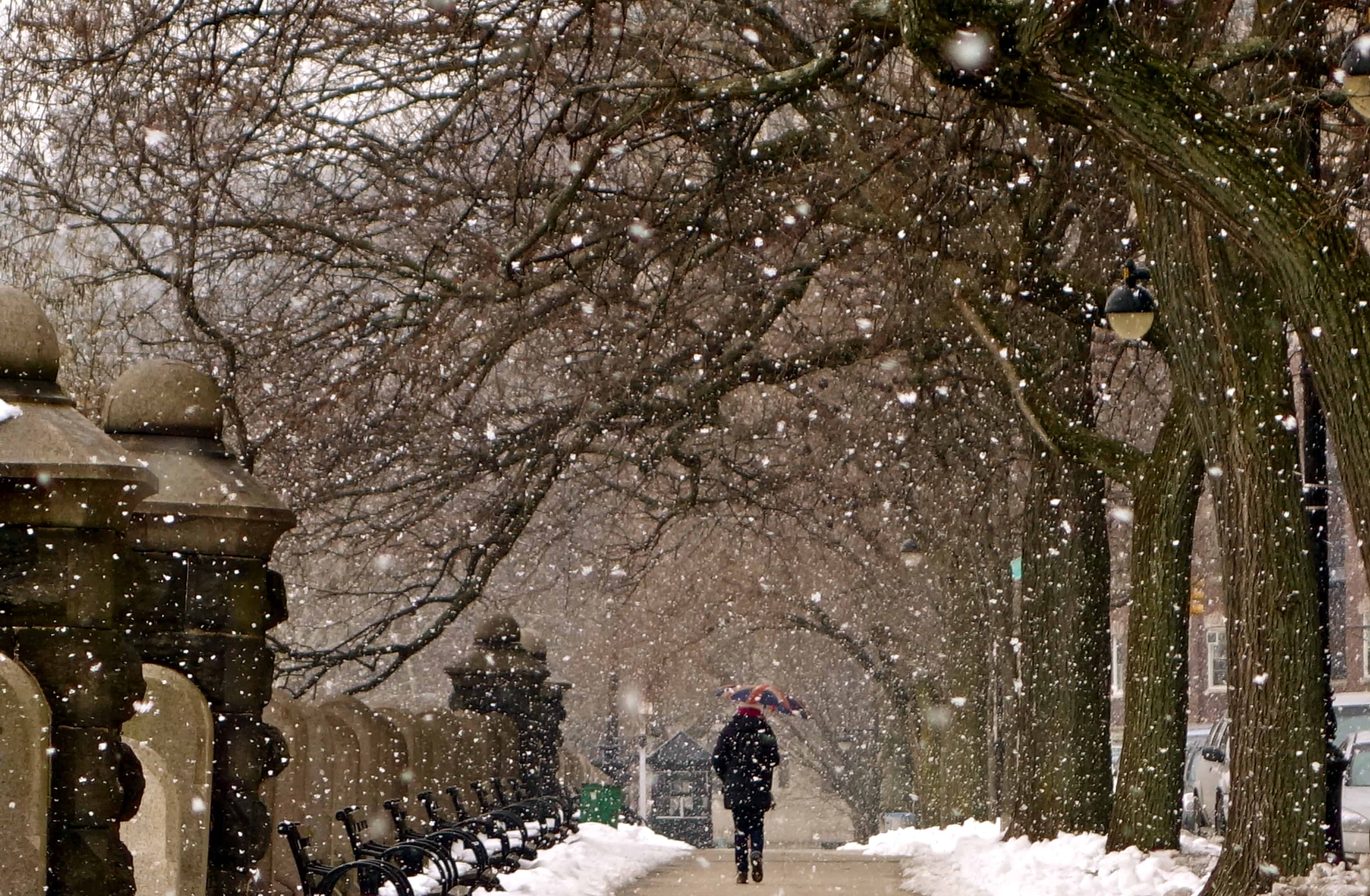 snowfall nyc, winter new york