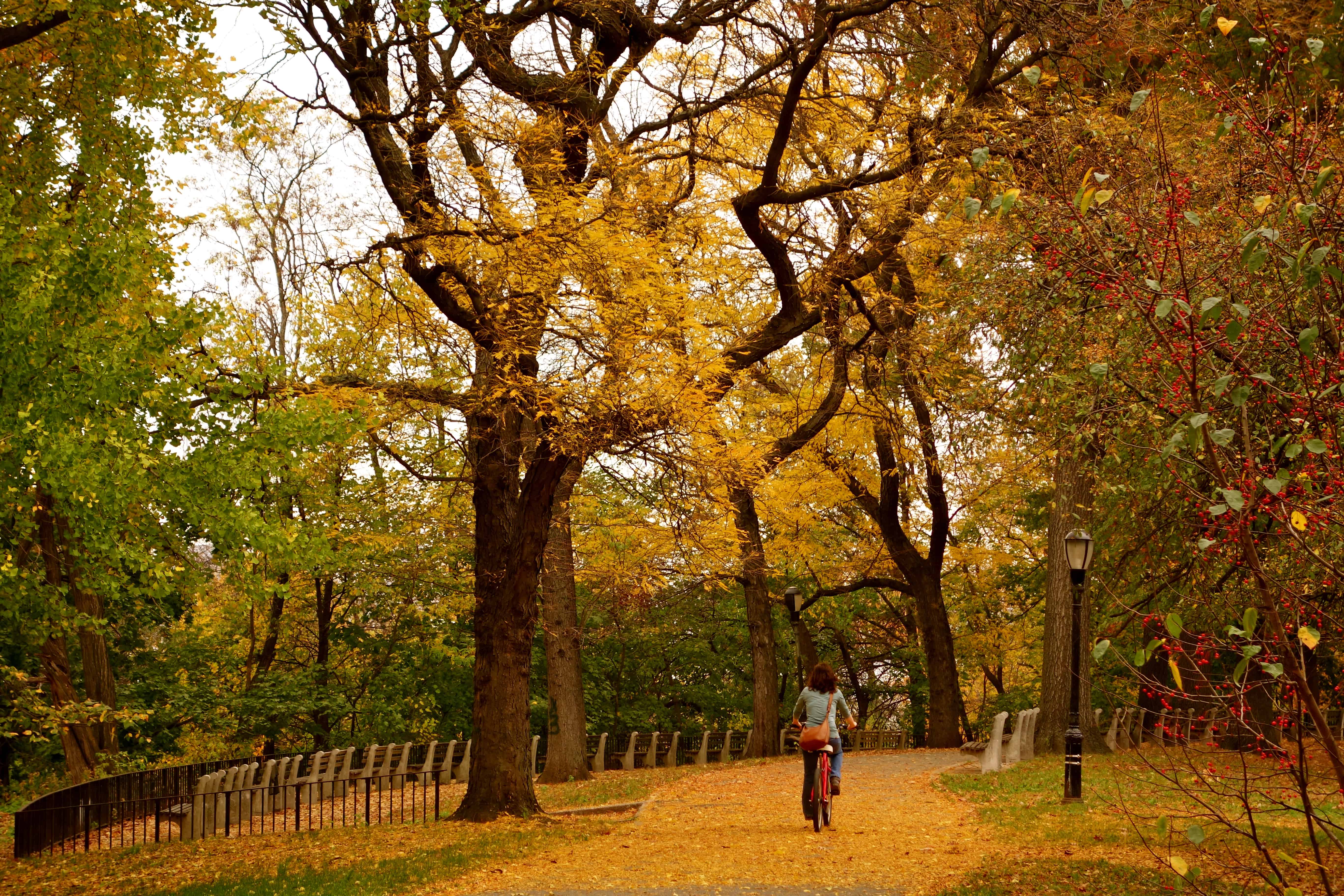 riverside nyc, fall color photos, fall foliage nyc