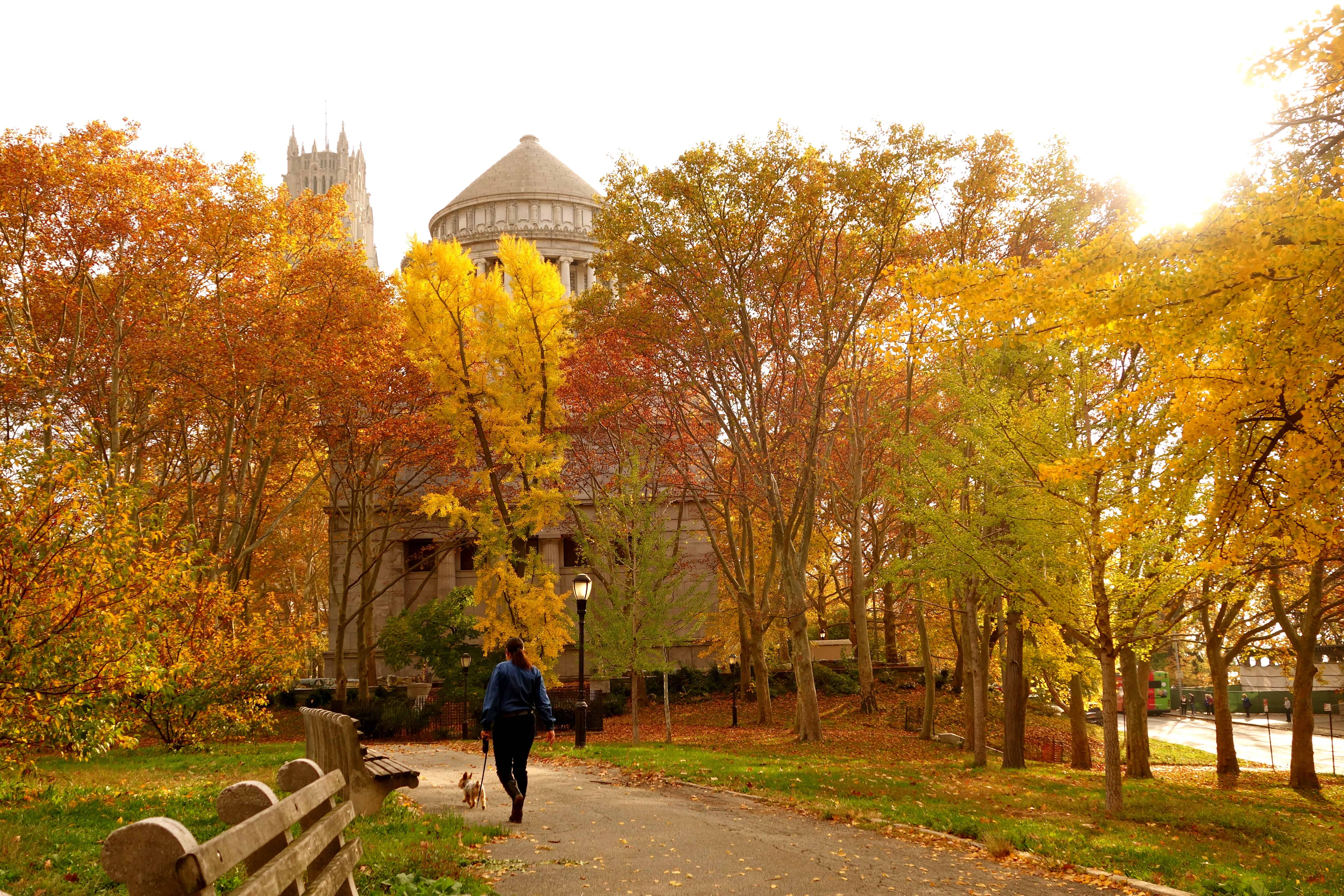 fall foliage nyc, riverside nyc, fall color photos