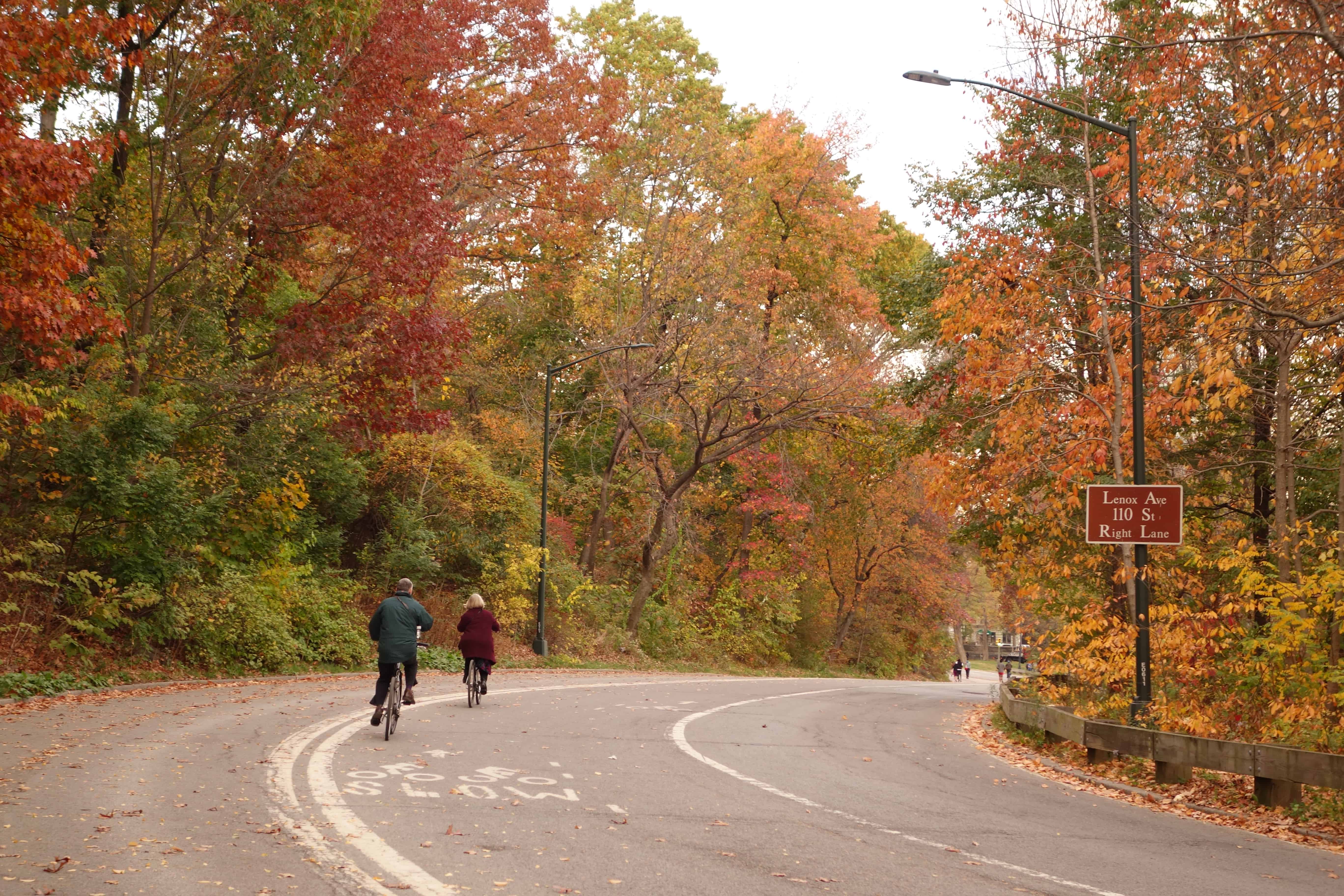 central park new york, fall colors central park, fall photos nyc