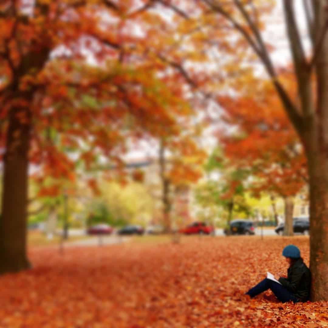 fall color photos, fall new york, fall foliage new york