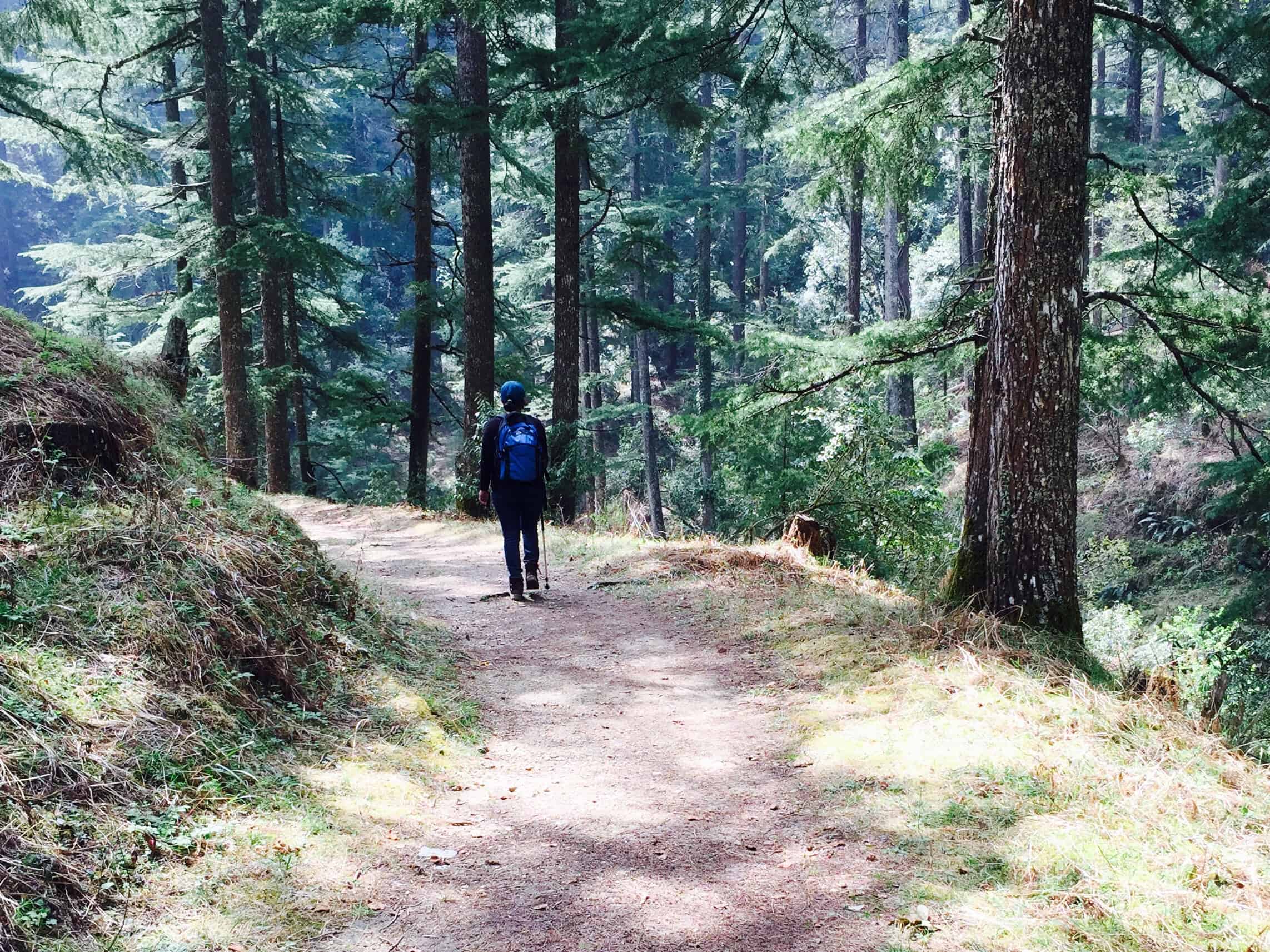 Itmenaan village walks, Uttarakhand offbeat, Kumaon