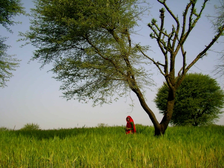 Can Responsible Tourism in India Challenge Patriarchy?