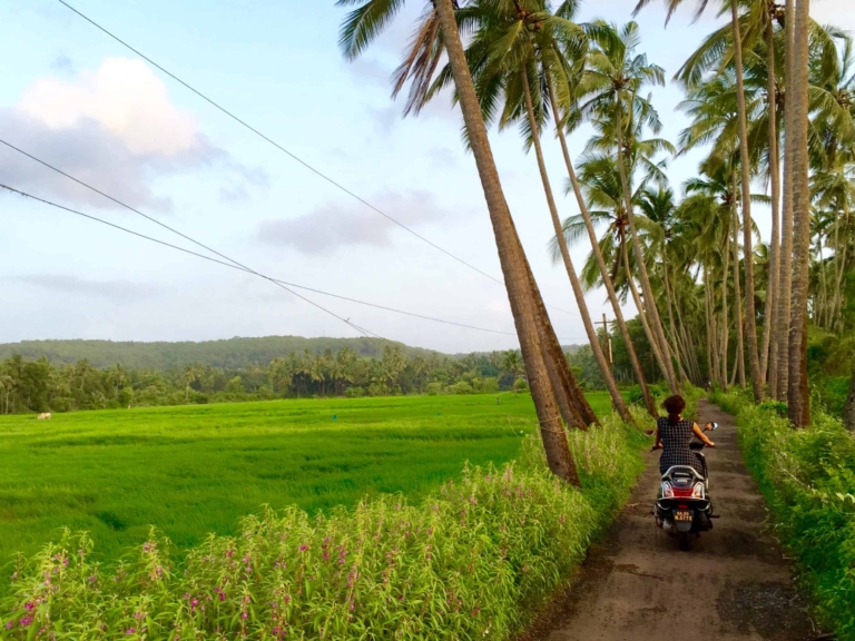 My Alternative Travel Guide to Goa.