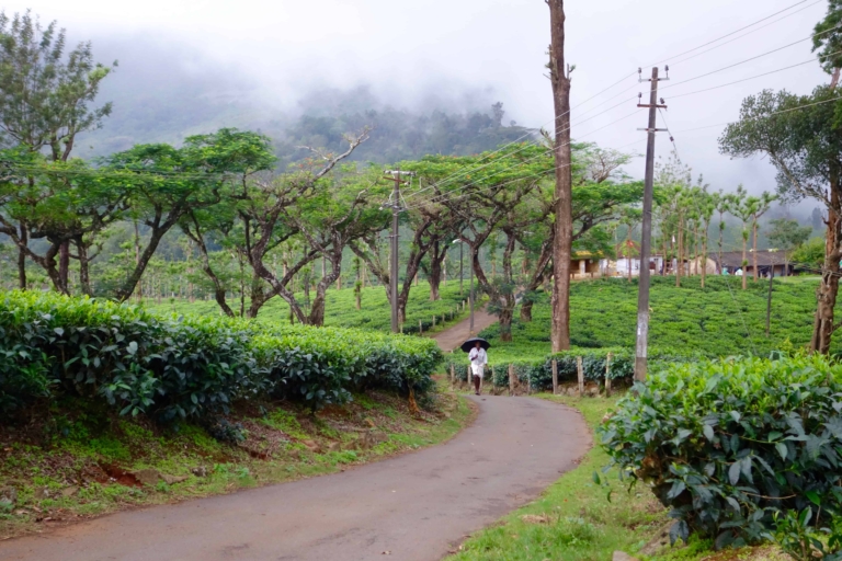 Offbeat Kerala: 11 Travel Experiences to Inspire the Artist in You.
