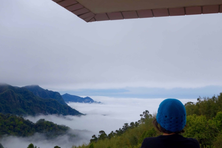 Not Your Typical Travel Guide to Taiwan.