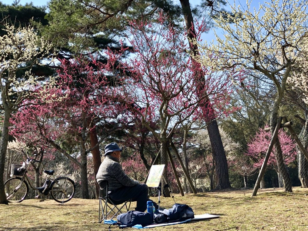 why visit Japan plum blossom trees in japan