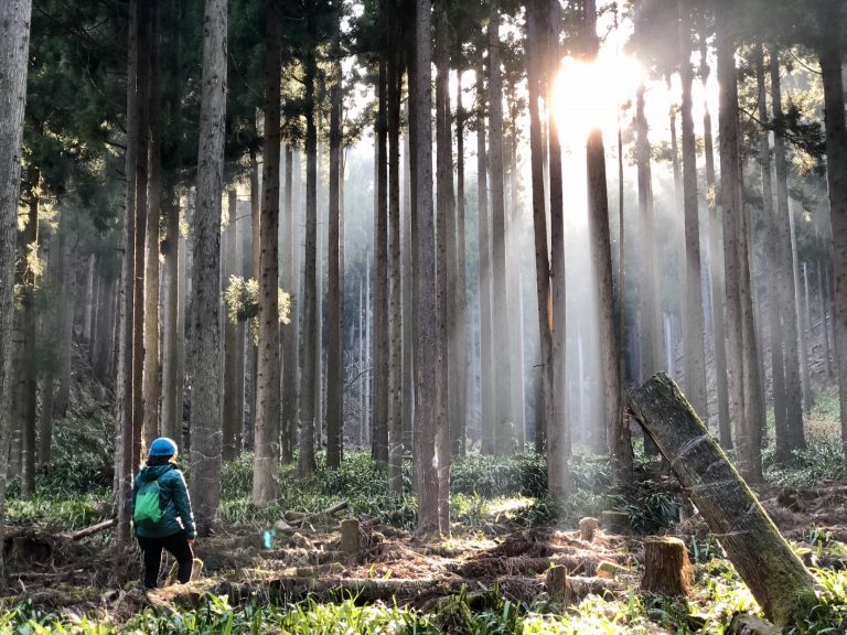 Japan solo travel