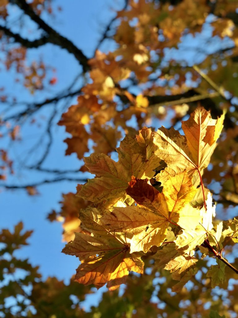 autumn scotland, scotland travel blog, aberdeenshire travel
