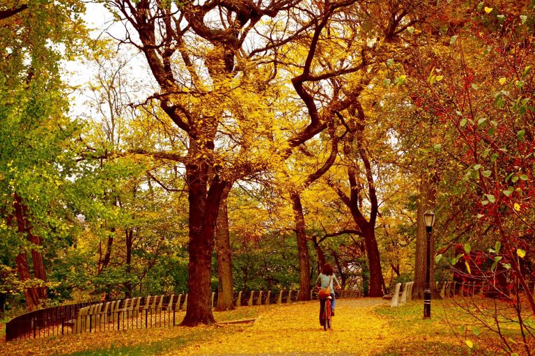 solo travel destinations