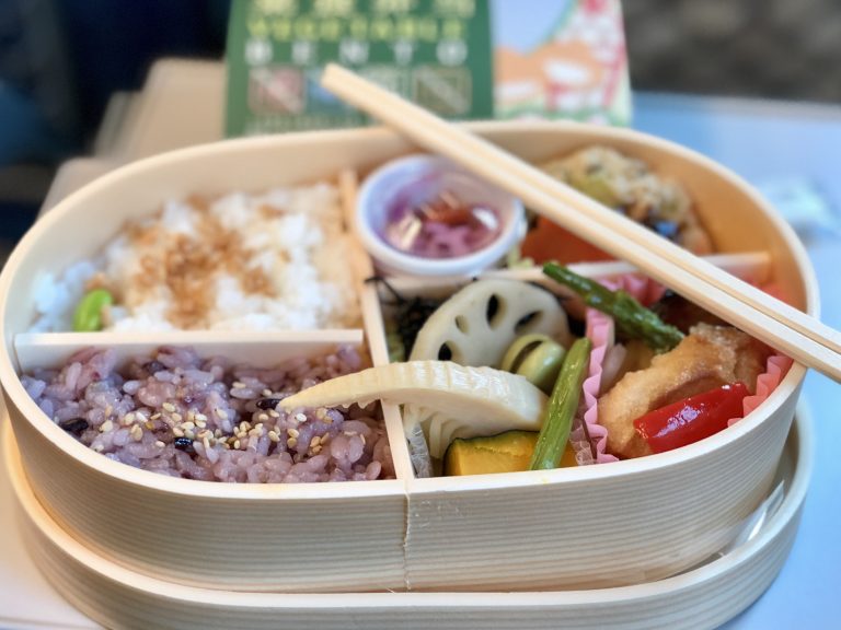 vegan japan, Shivya the shooting star, Shivya Nath
