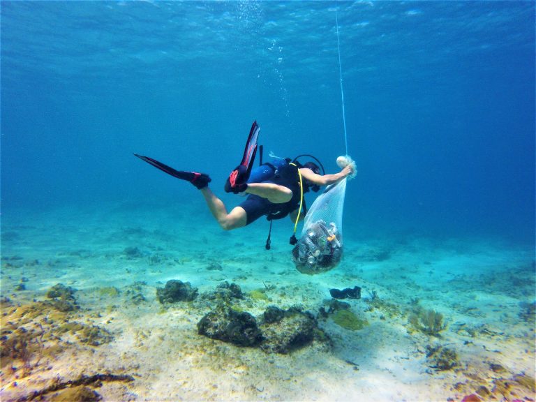 Volunteering in a remote island in Cuba, Shivya the shooting star, Shivya Nath