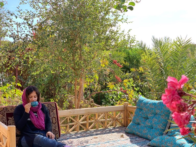 why visit iran, iran travel blogs, iran travel 2019, the shooting star, shivya nath