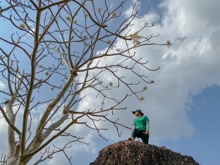 chhattisgarh travel, bastar chhattisgarh